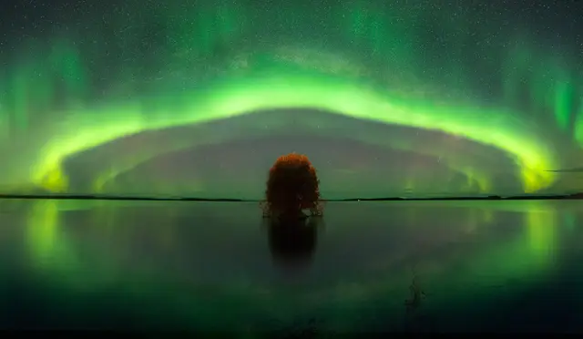 Aurora over the lake with a lone tree